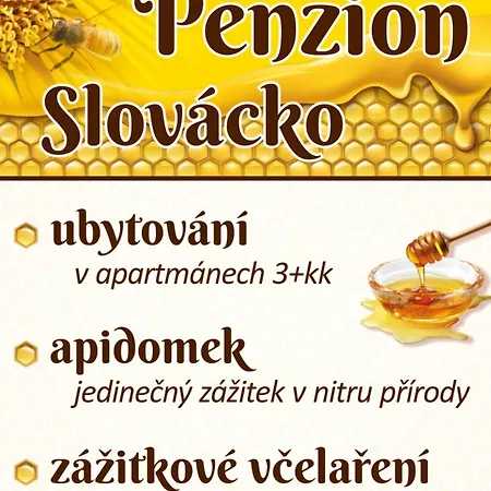 Penzion Slovacko Ostrozska Nova Ves Exterior photo