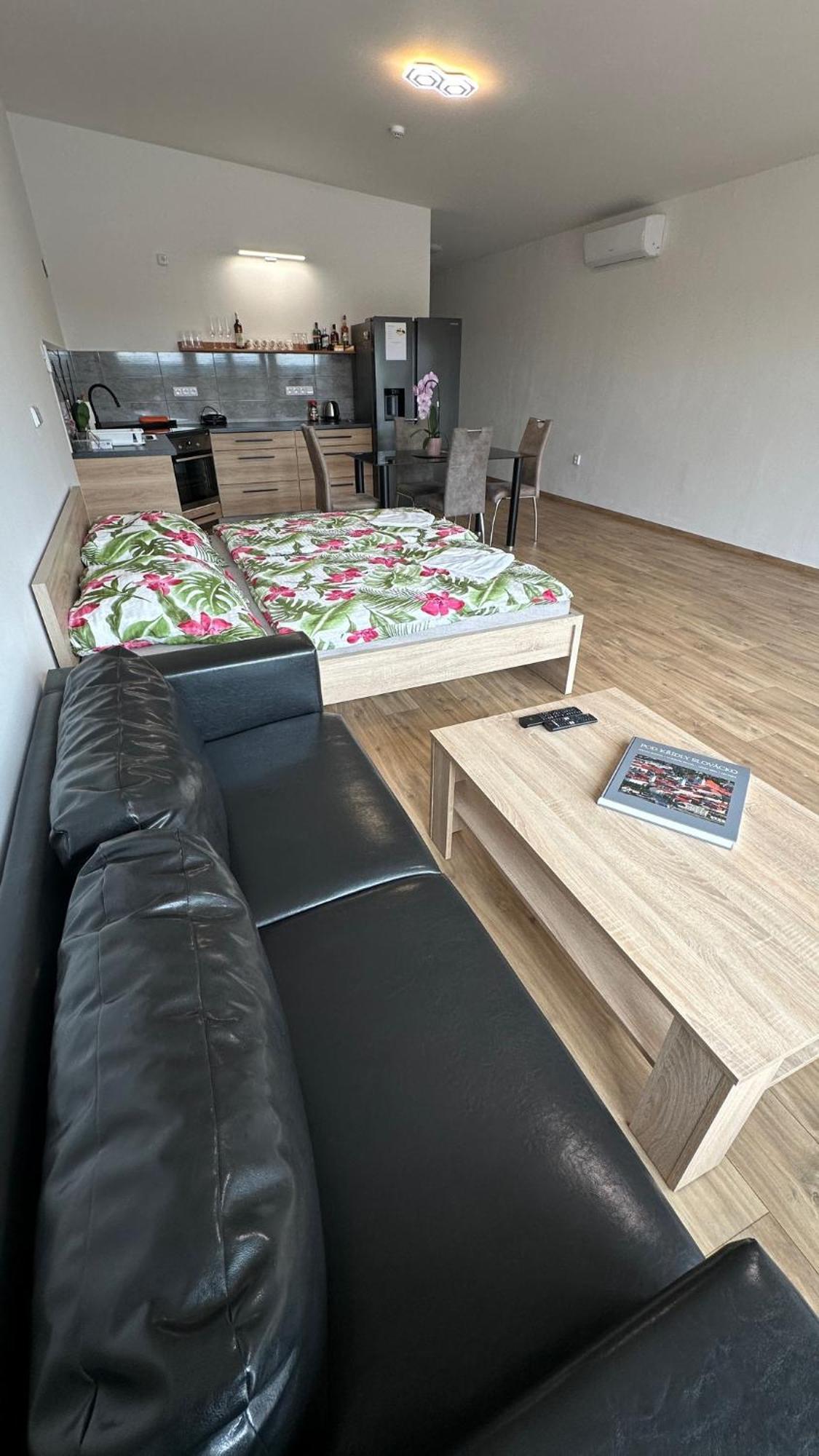 Slovacko Apartment *